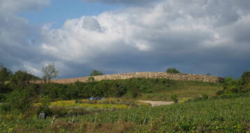 검산성
